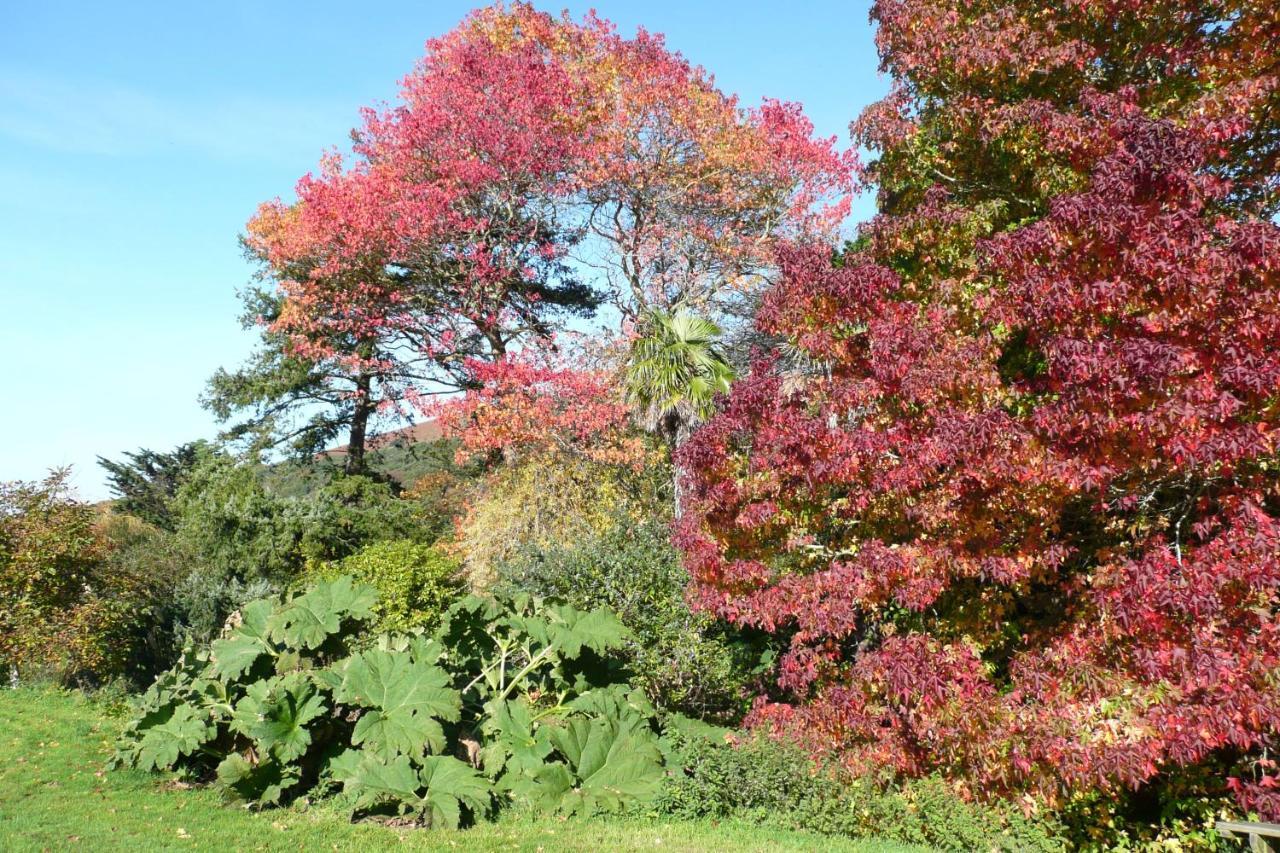 Luxury Bed And Breakfast At Bossington Hall In Exmoor, Somerset Porlock Ngoại thất bức ảnh