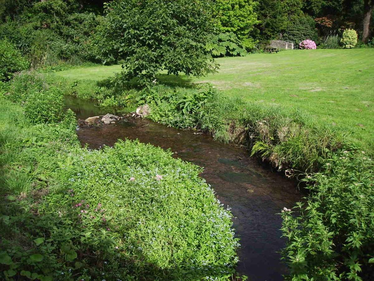 Luxury Bed And Breakfast At Bossington Hall In Exmoor, Somerset Porlock Ngoại thất bức ảnh